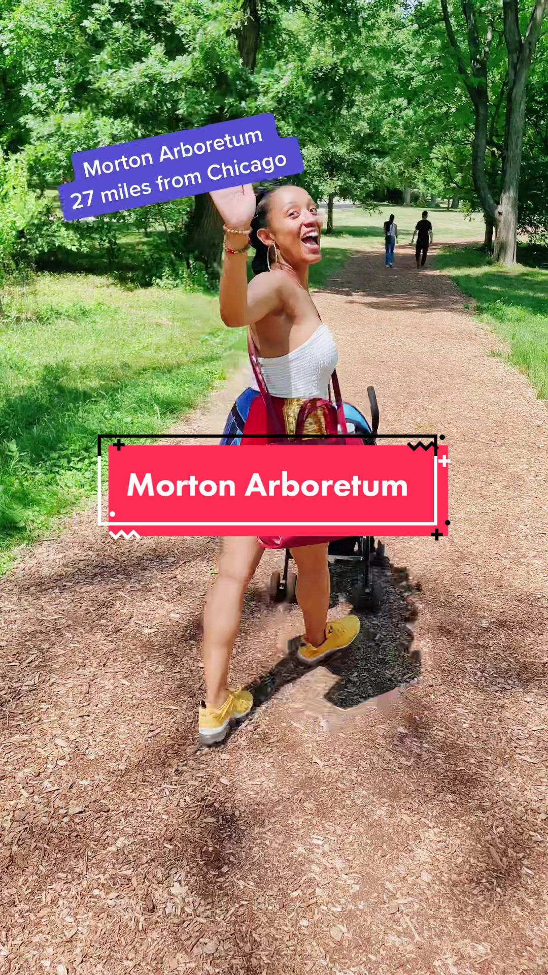 Morton Arboretum