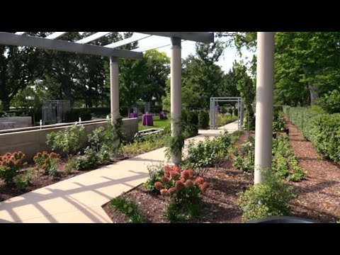 Morton Arboretum