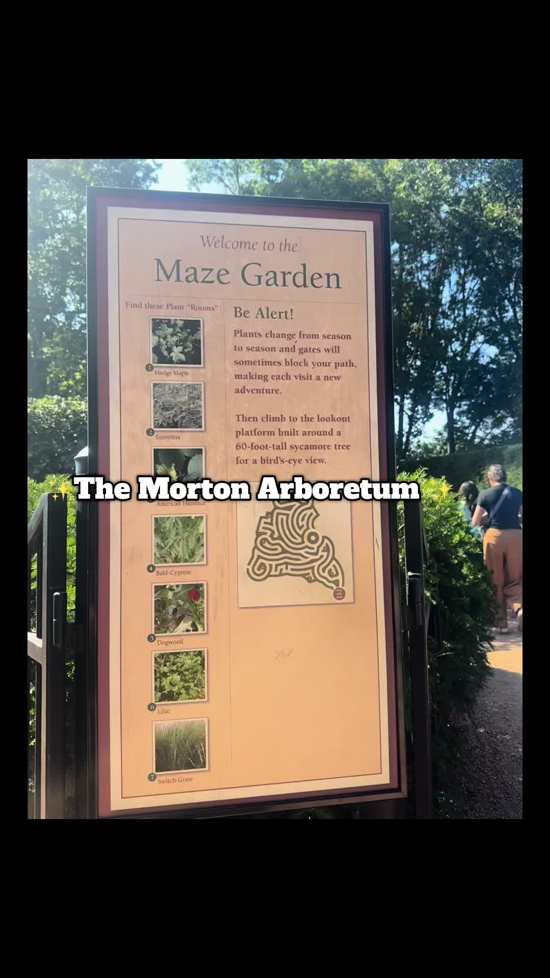 Morton Arboretum