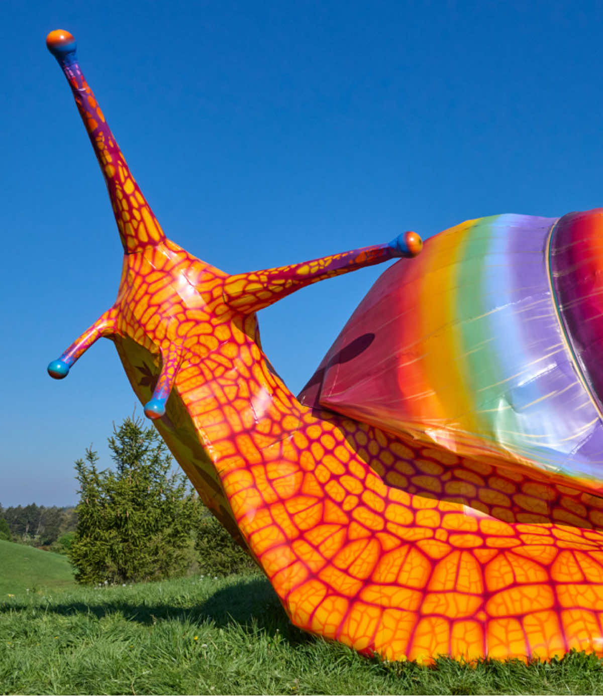Morton Arboretum
