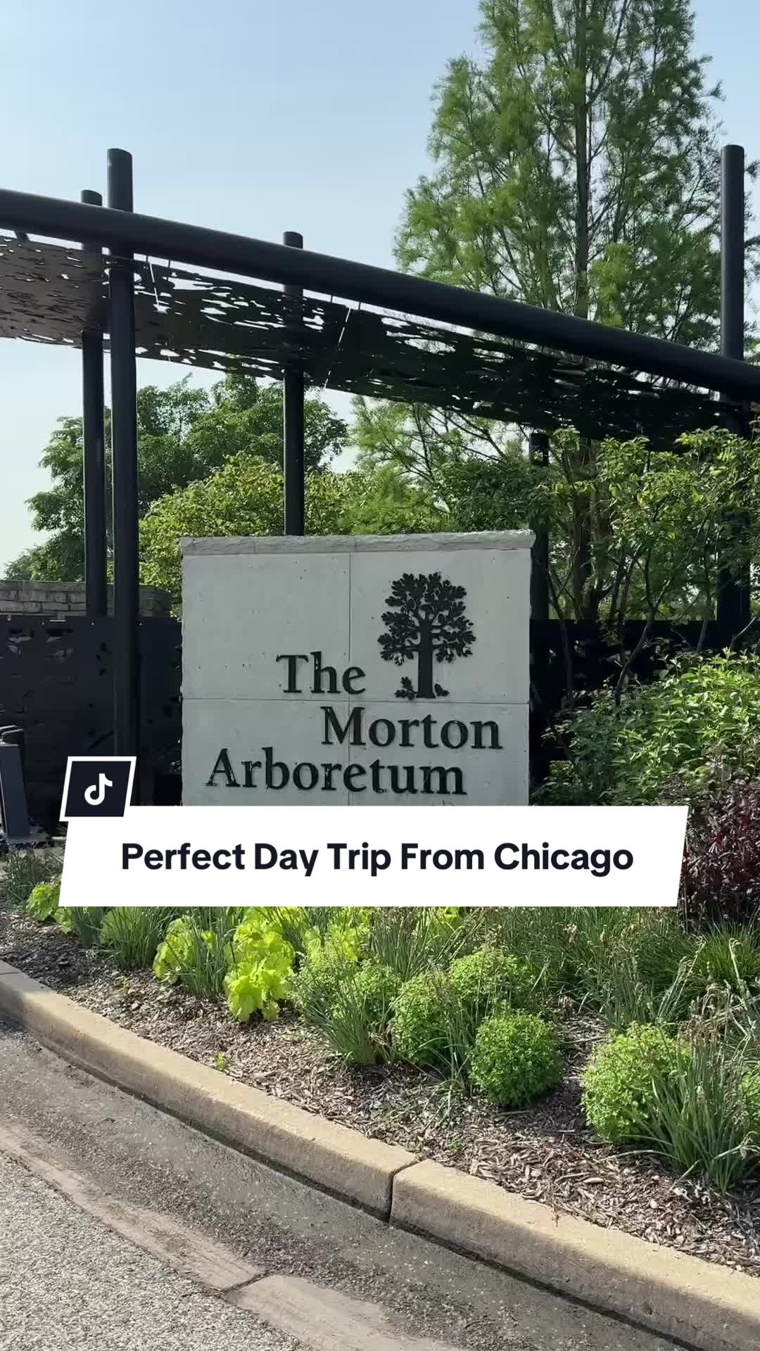 Morton Arboretum