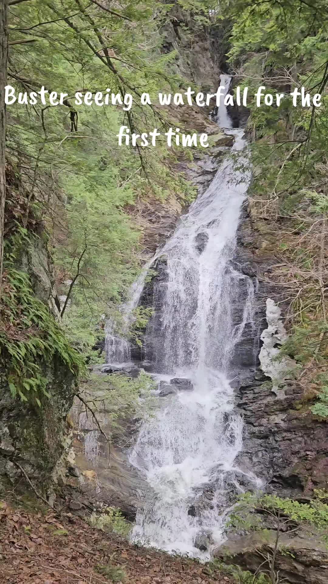 Moss Glen Falls