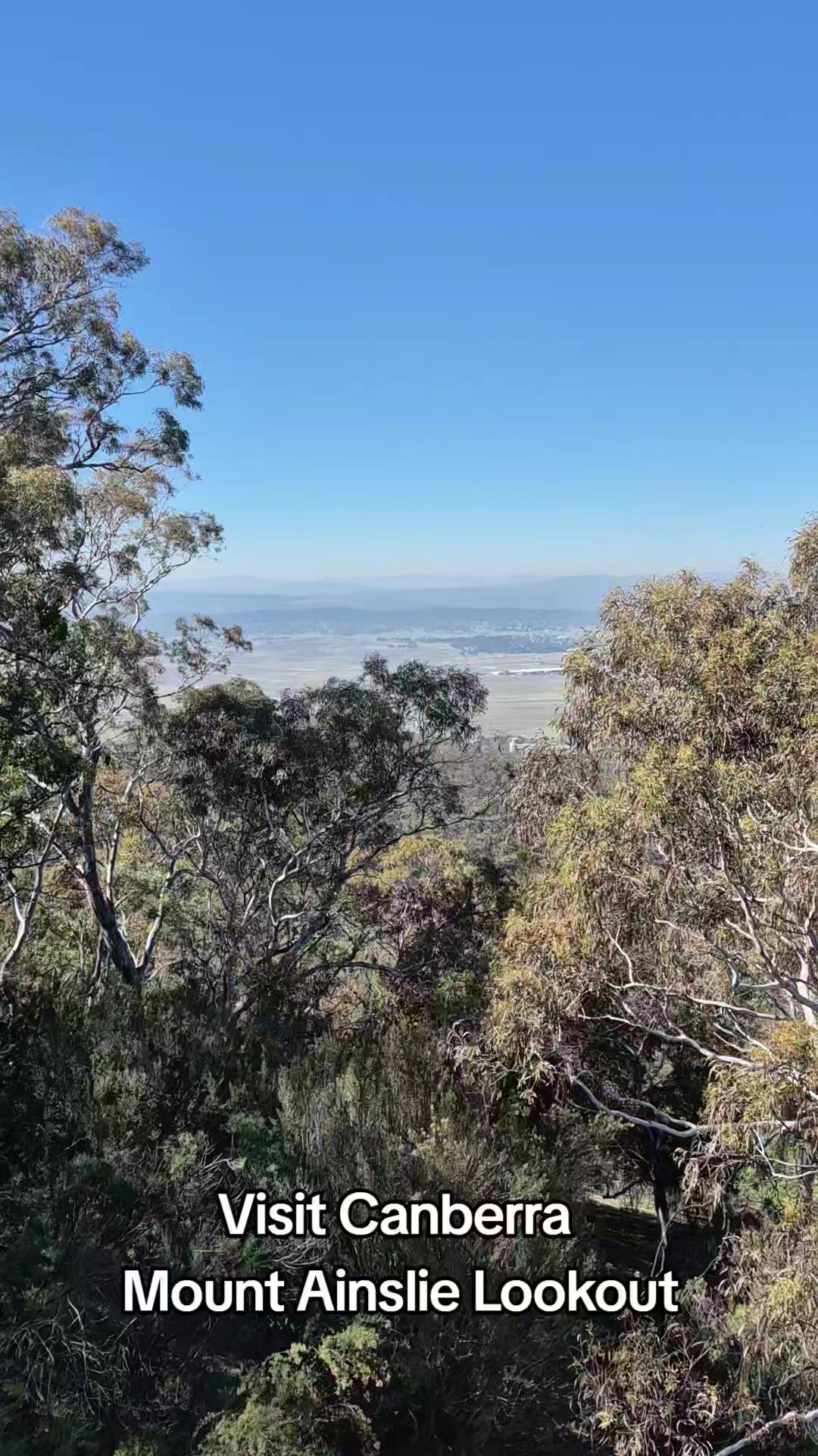 Mount Ainslie Lookout