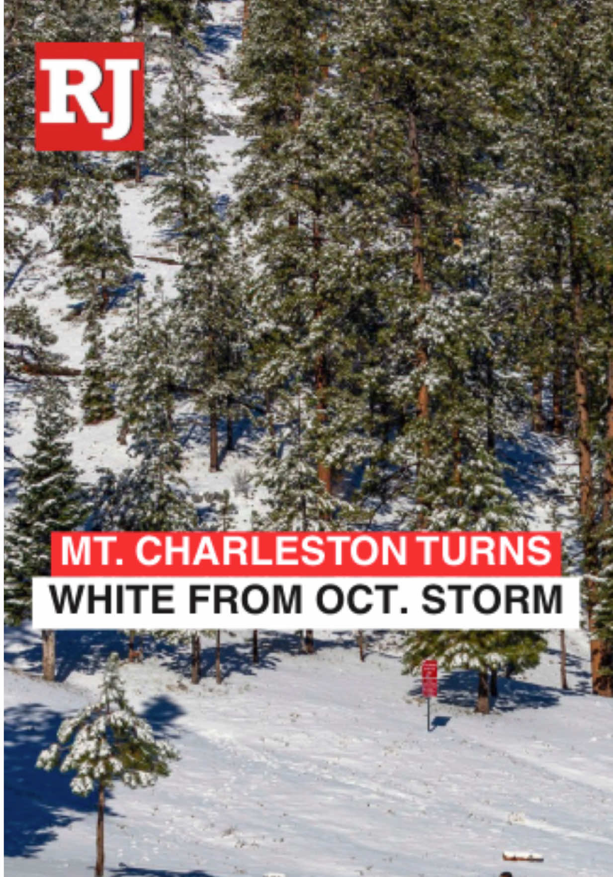 Mount Charleston (Spring Mountains National Recreation Area)