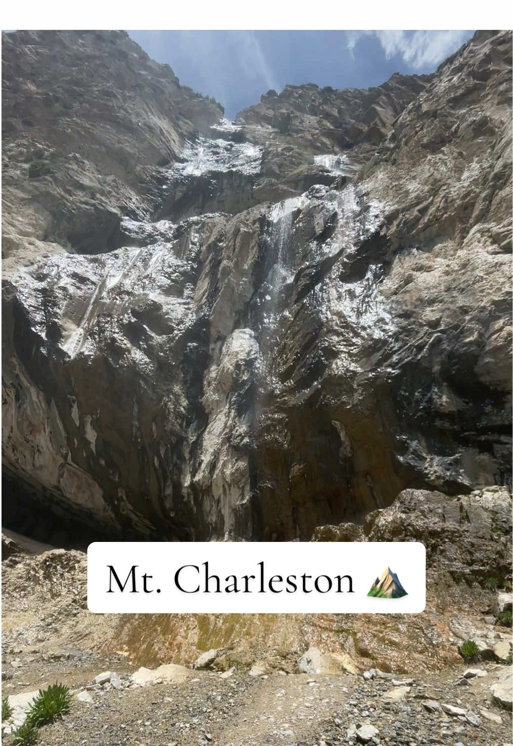 Mount Charleston (Spring Mountains National Recreation Area)