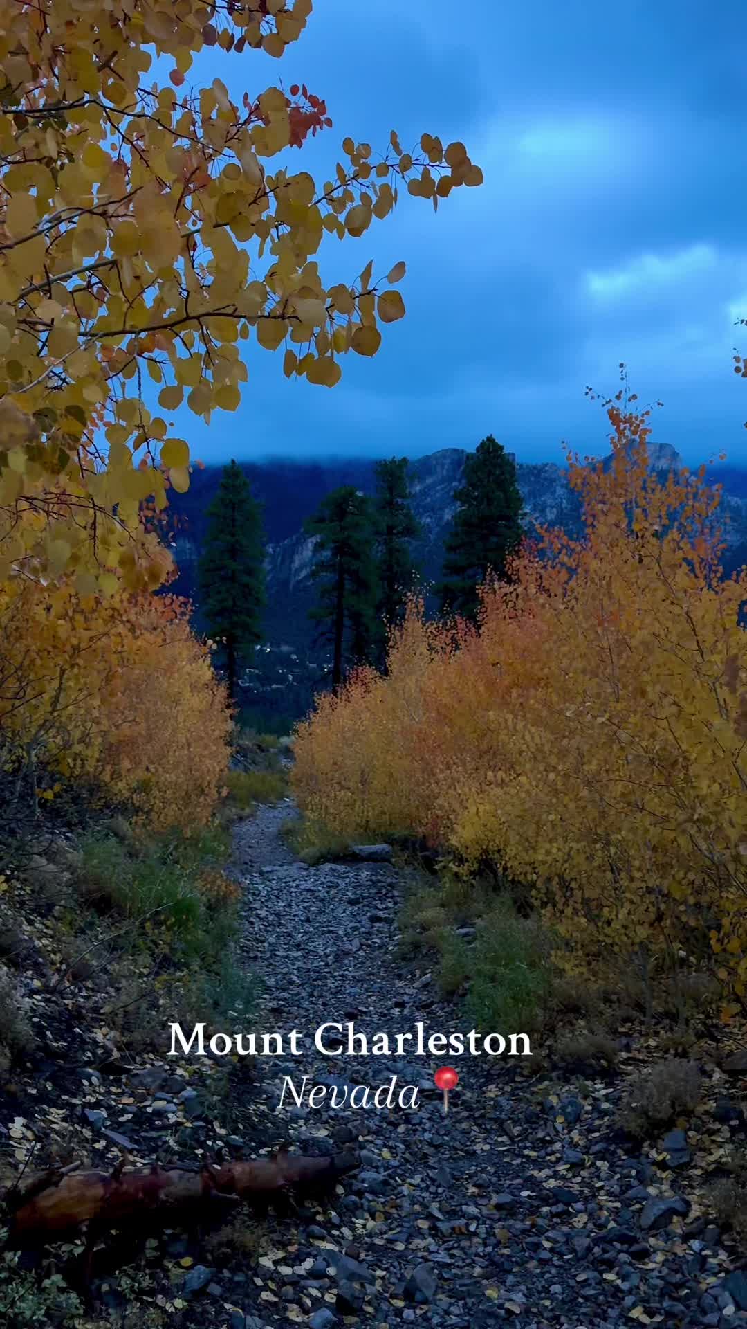 Mount Charleston