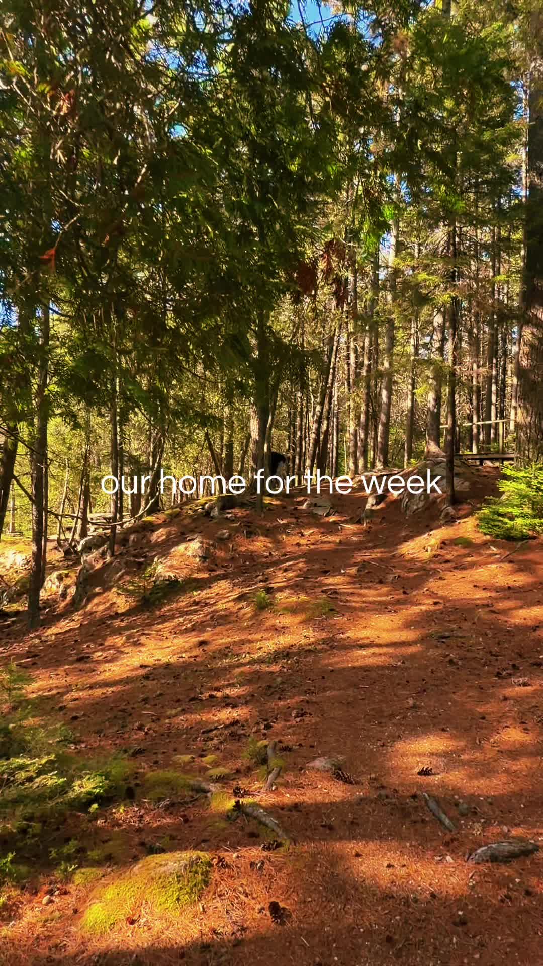 Mount Desert Island