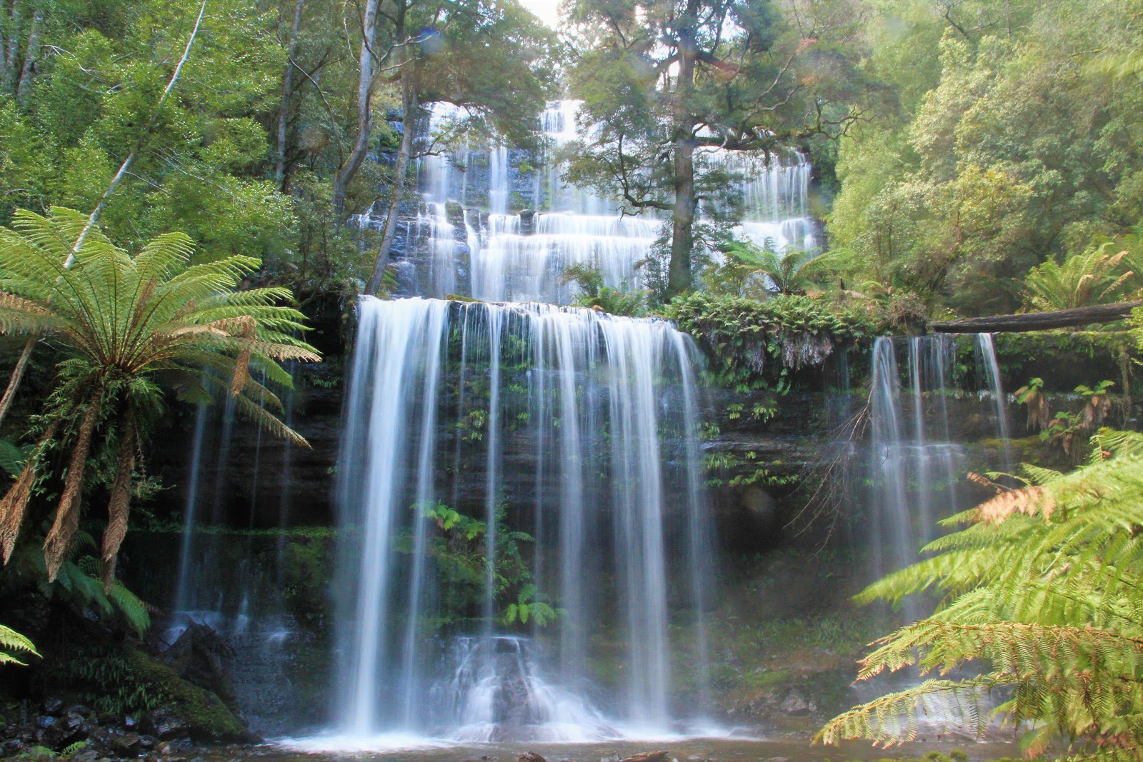 Hobart to Cradle Mountain Road Trip Ititnerary