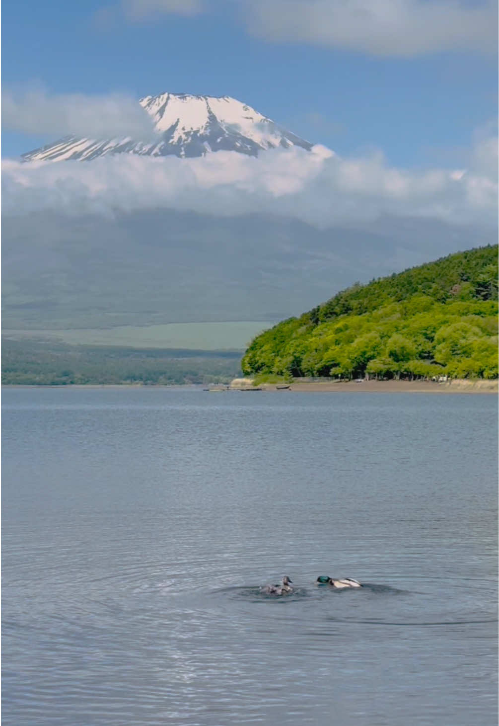 Mount Fuji