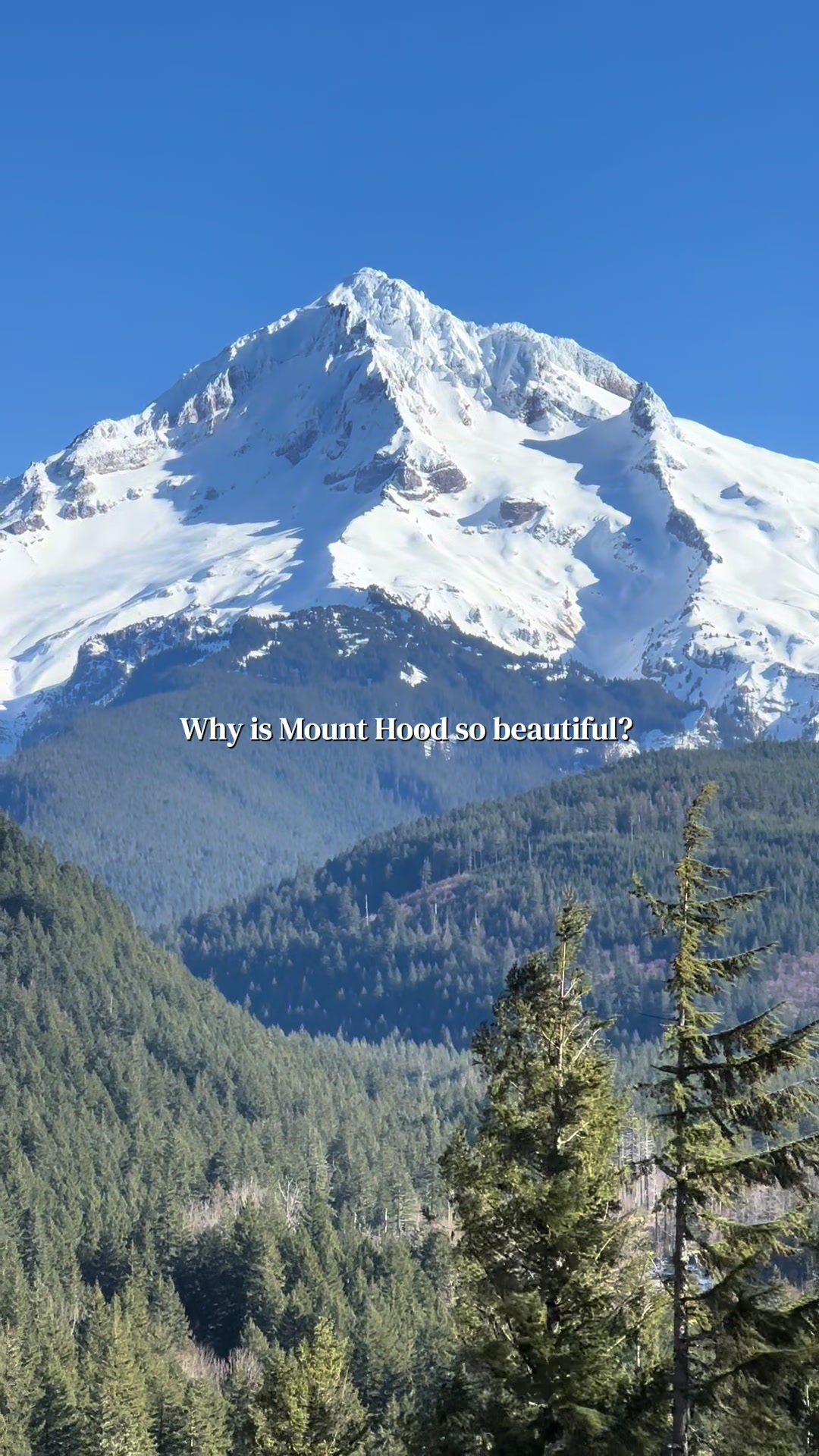 Mount Hood