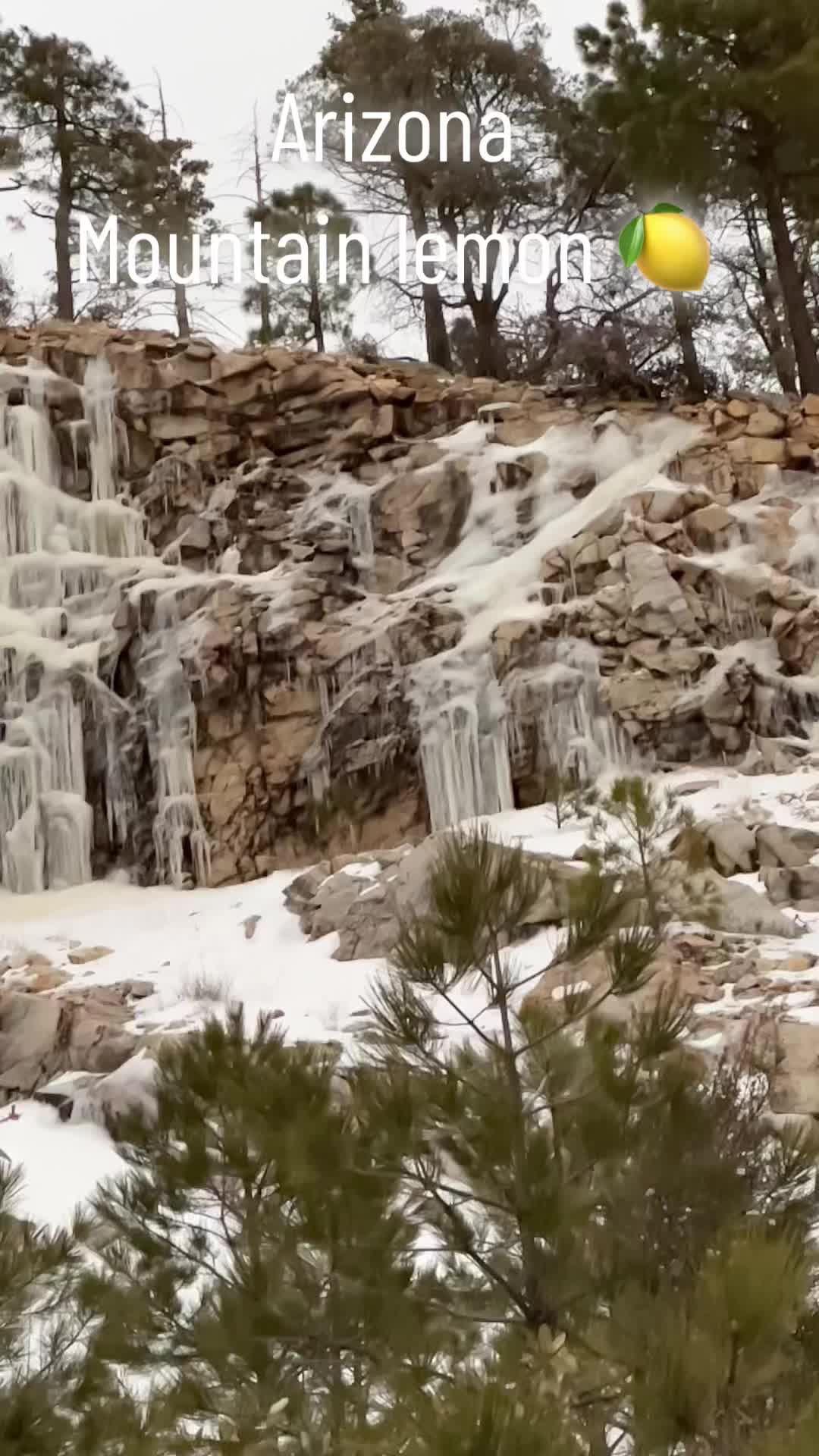 Mount Lemmon