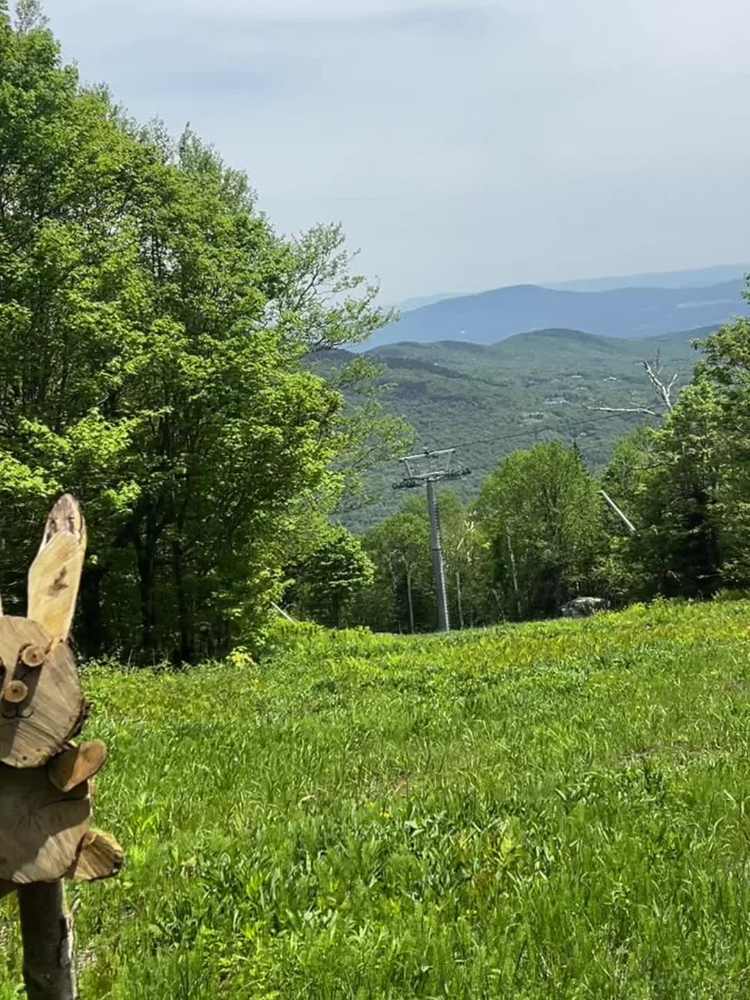 Mount Mansfield Auto Toll Road