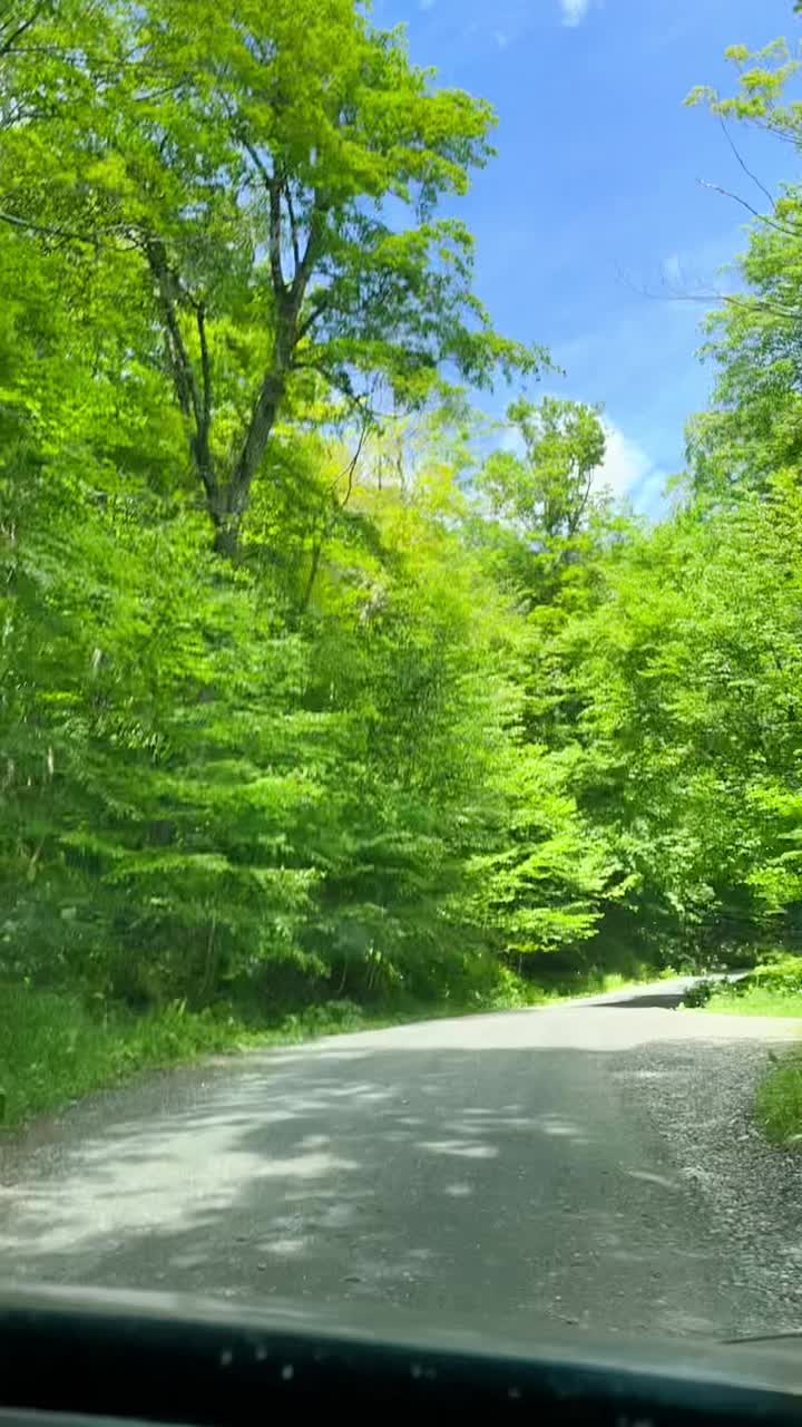 Mount Mansfield Auto Toll Road