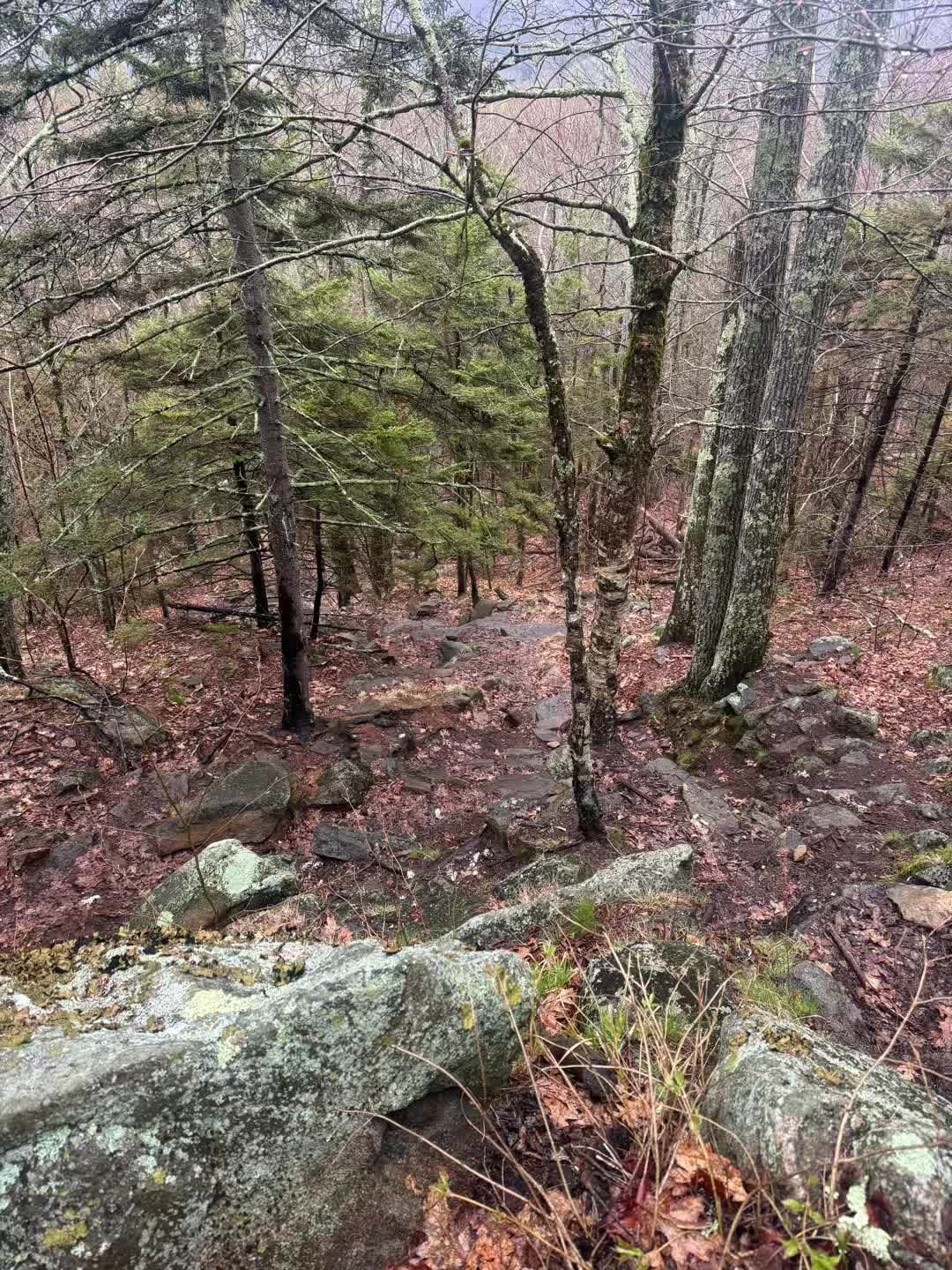 Mount Monadnock