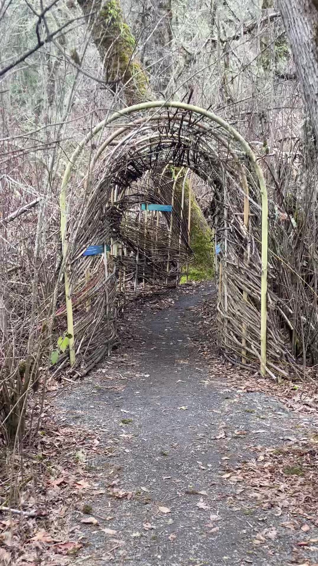 Mount Pisgah Arboretum