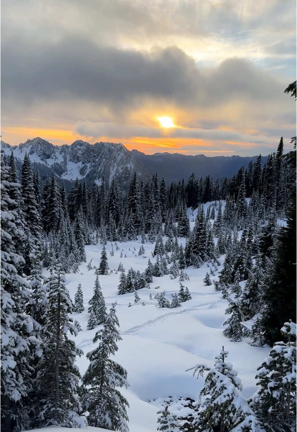 Mount Rainier National Park