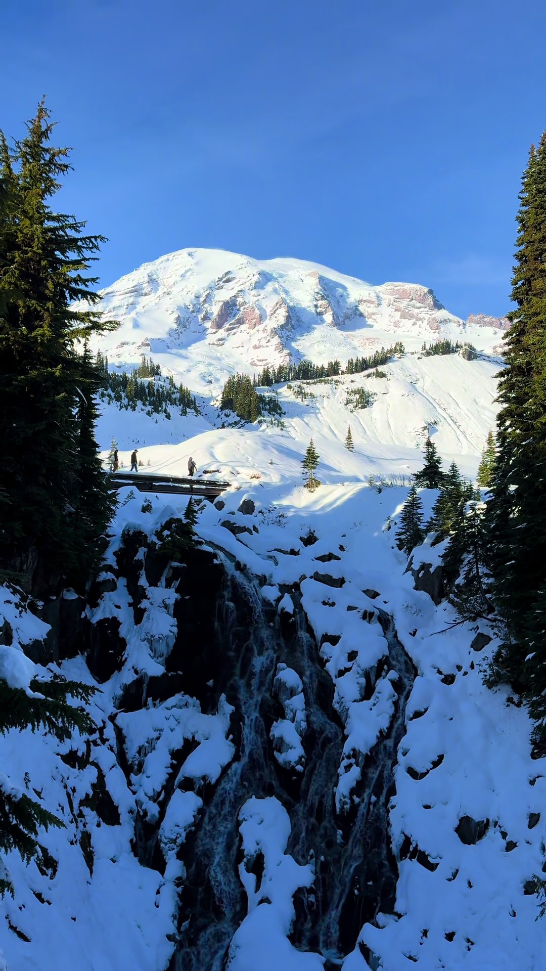 Mount Rainier National Park