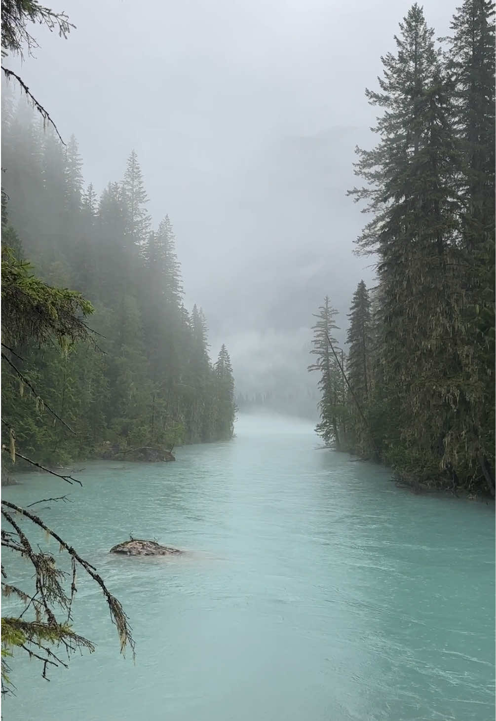 Mount Robson Provincial Park - Berg Lake Area (view)