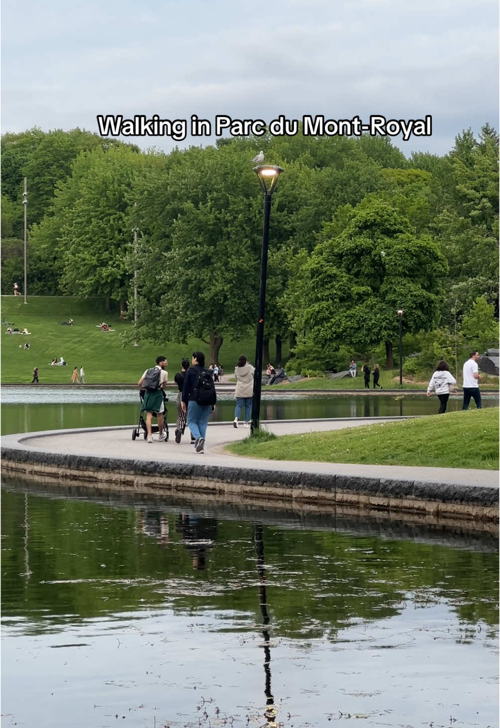 Mount Royal Park (Parc du Mont-Royal)