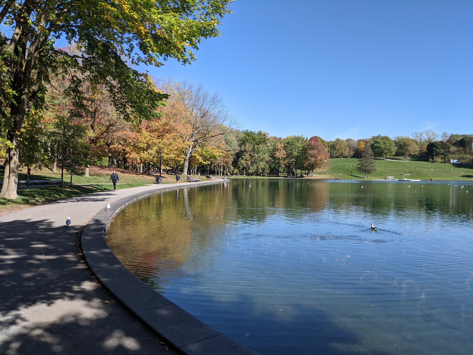 Mont Royal Park
