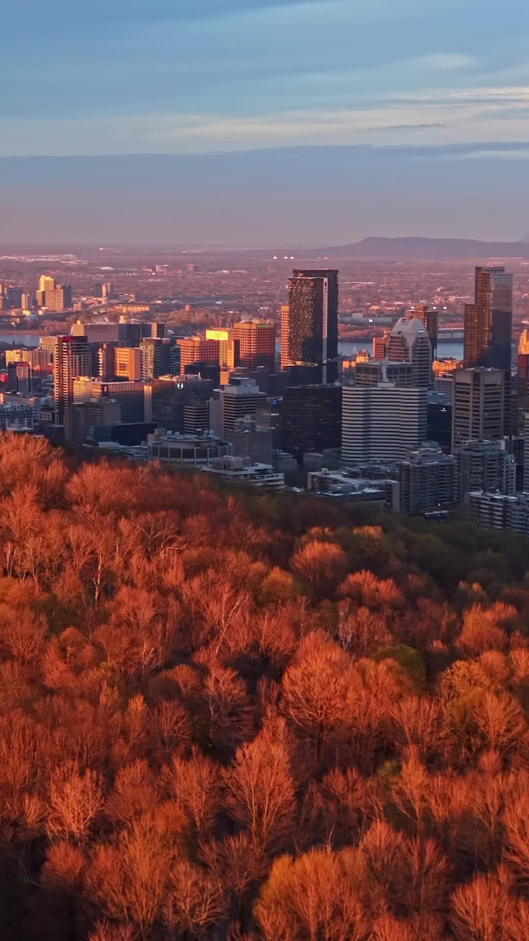 Mount Royal Park