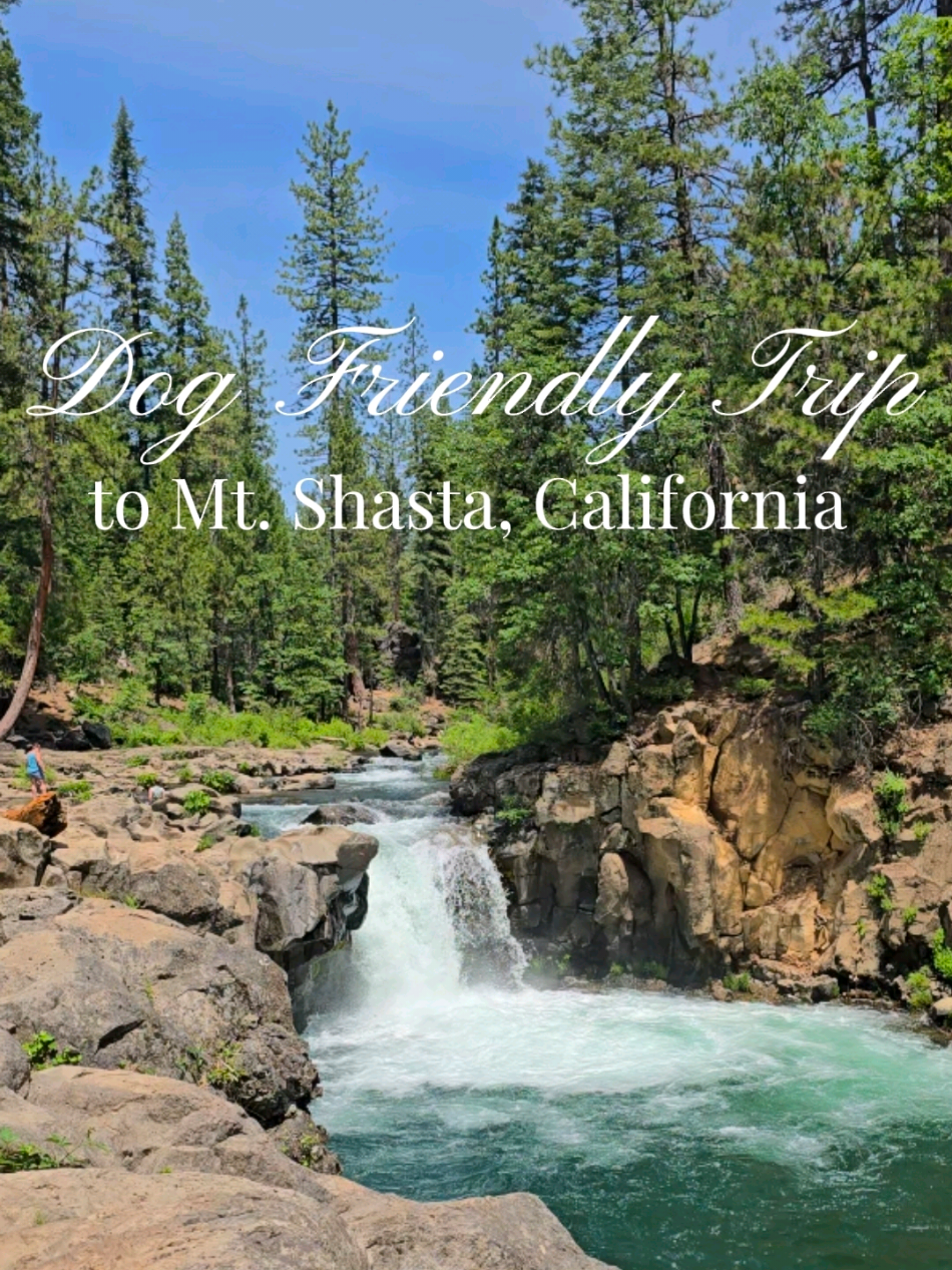 Mount Shasta, CA