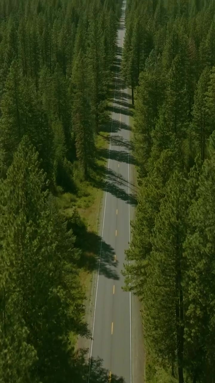 Mount Shasta (Mount Shasta City viewpoints)