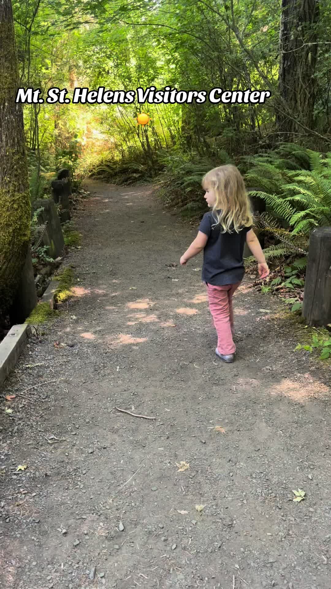 Mount St. Helens Visitor Center