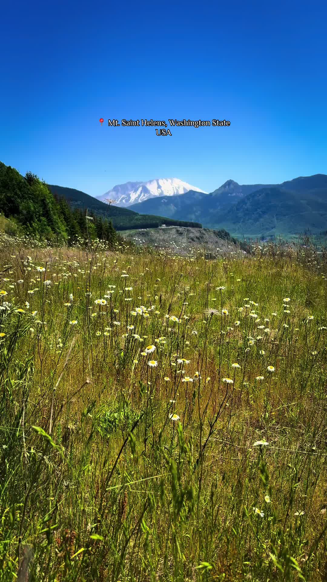 Mount St. Helens