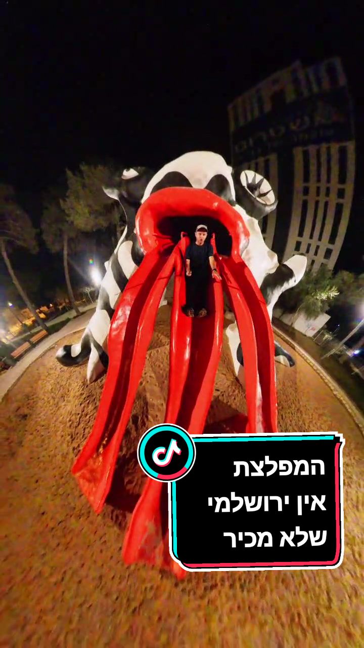 מפרץ האלונג