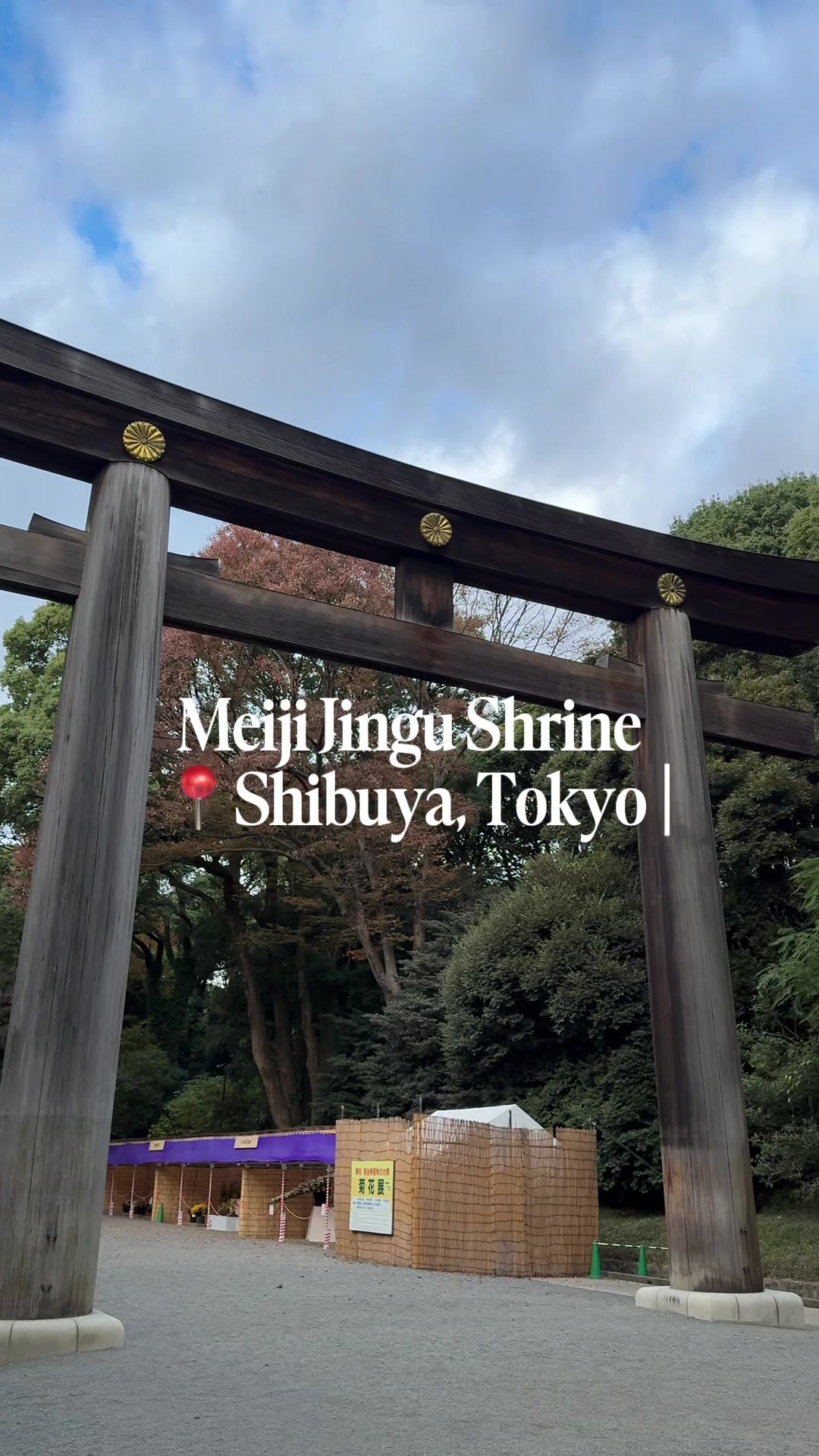 מקדש Meiji Jingu ופארק יויאוגי