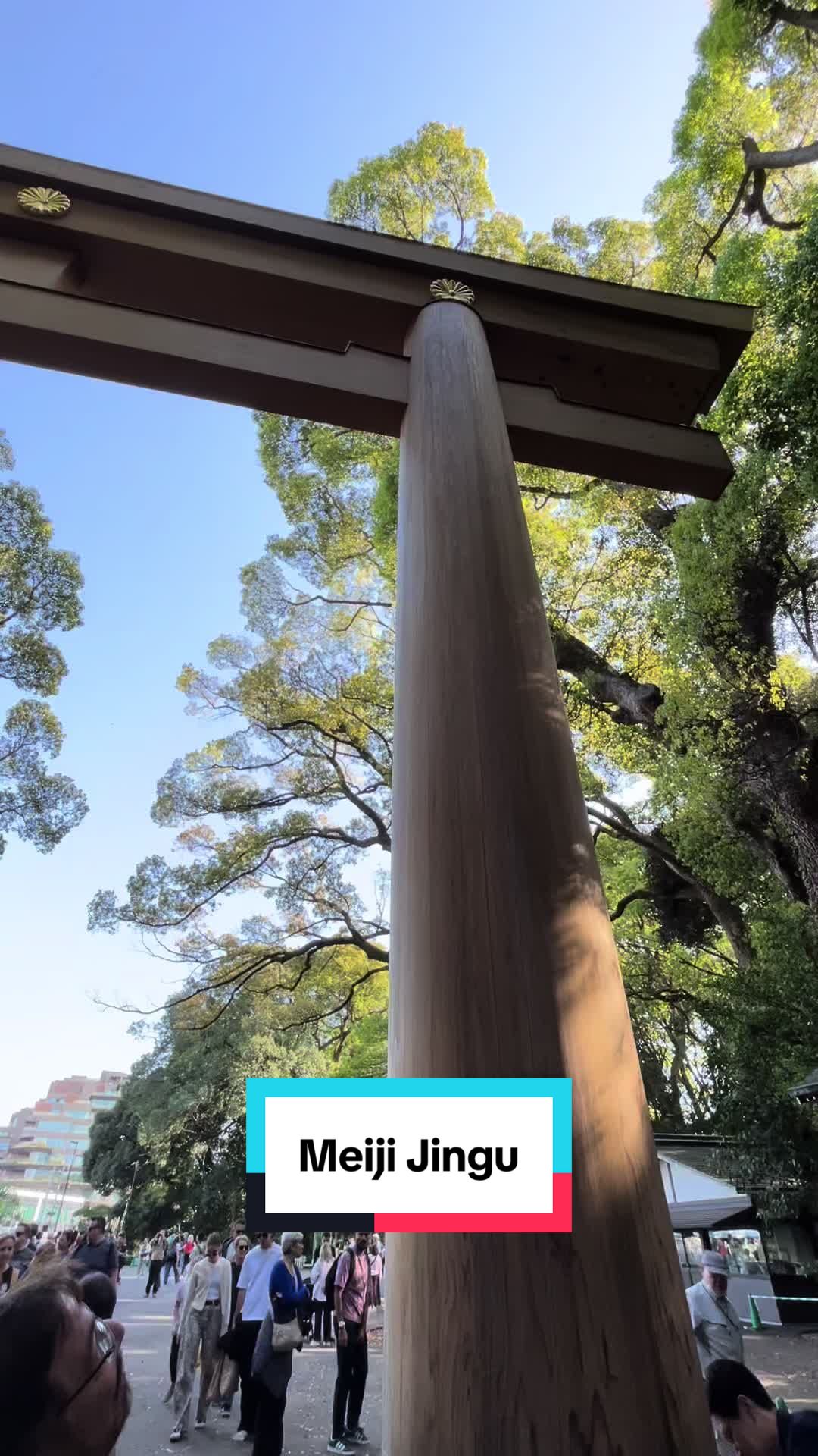 מקדש Meiji Jingu ופארק יויאוגי