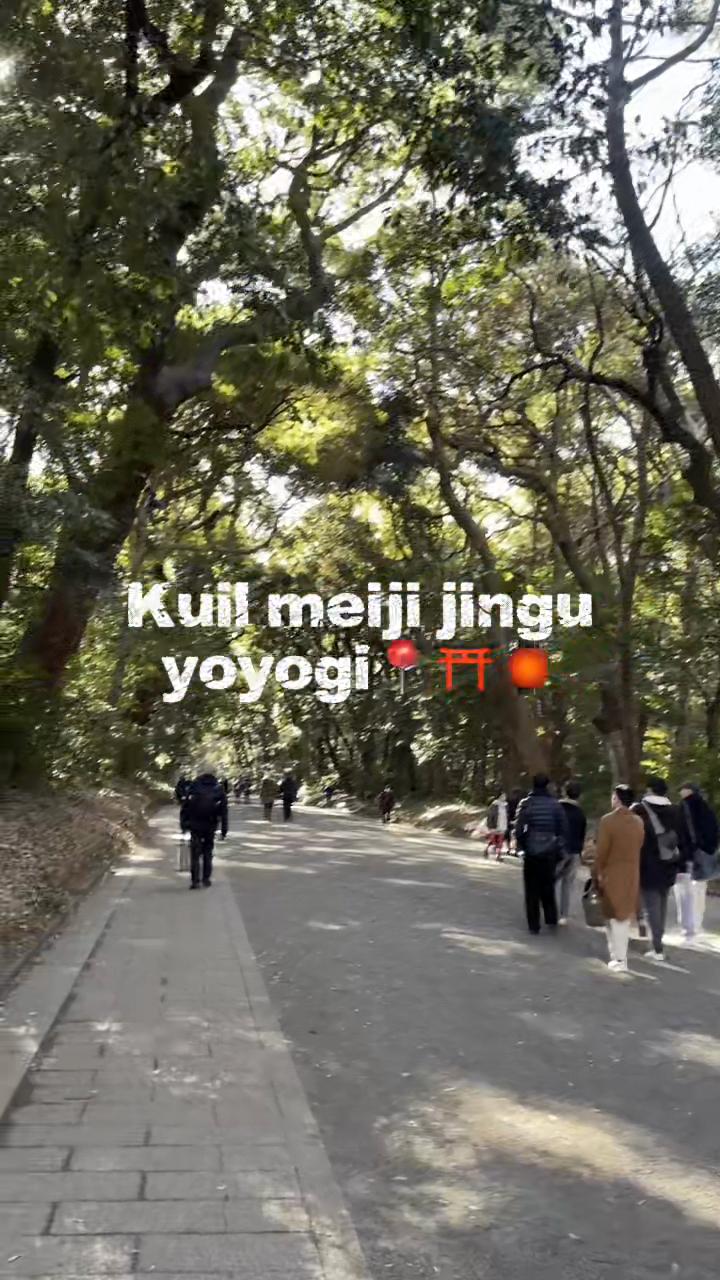 מקדש Meiji Jingu ופארק יויאוגי