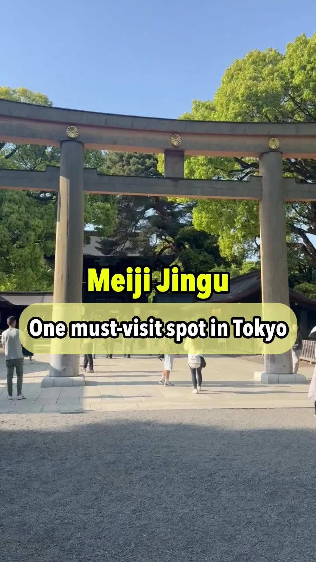 מקדש Meiji Jingu ופארק יויאוגי
