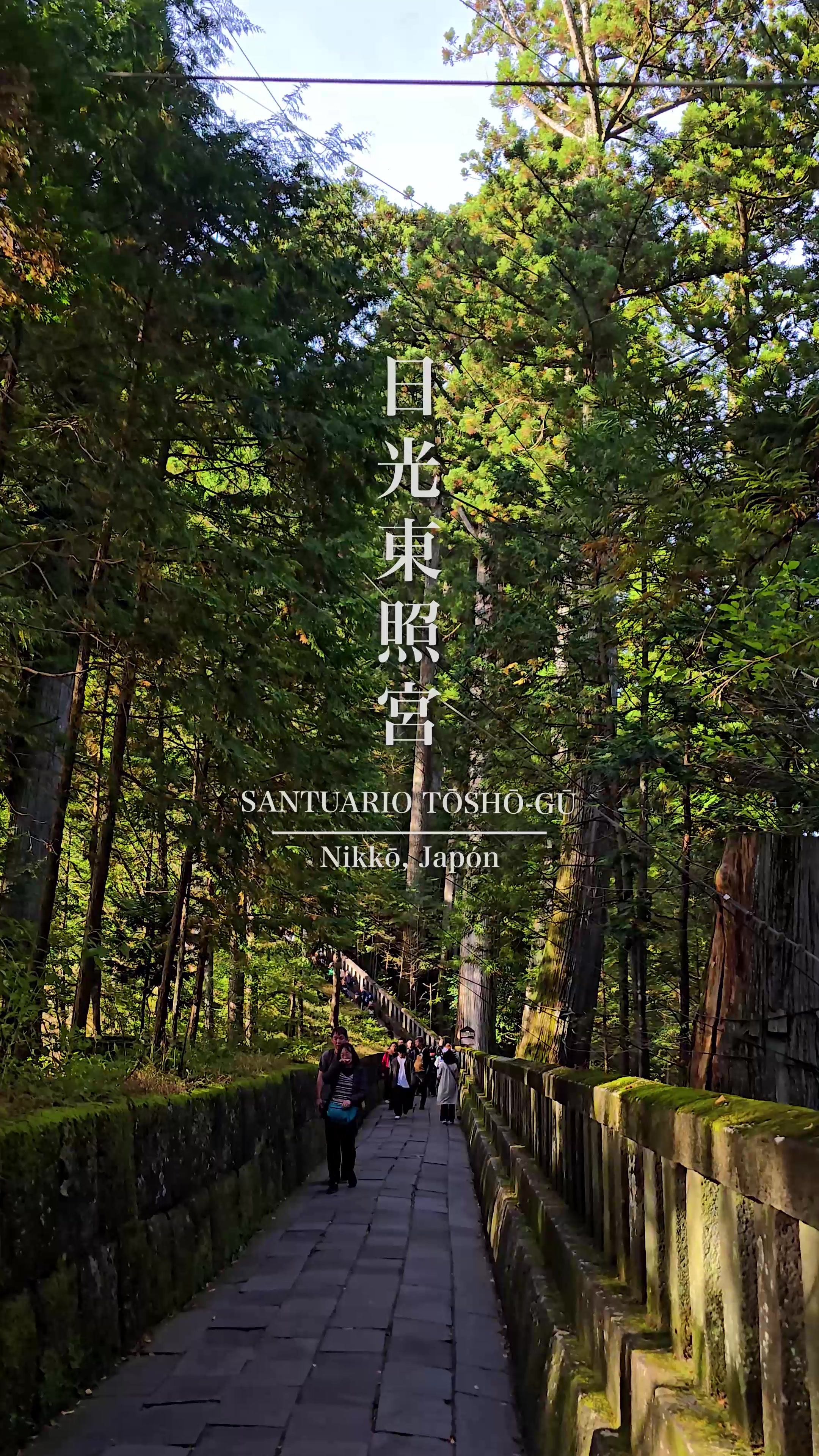 מקדש קינטסוג'י ורכסי ניקו (Nikko Toshogu Shrine, ניקו)
