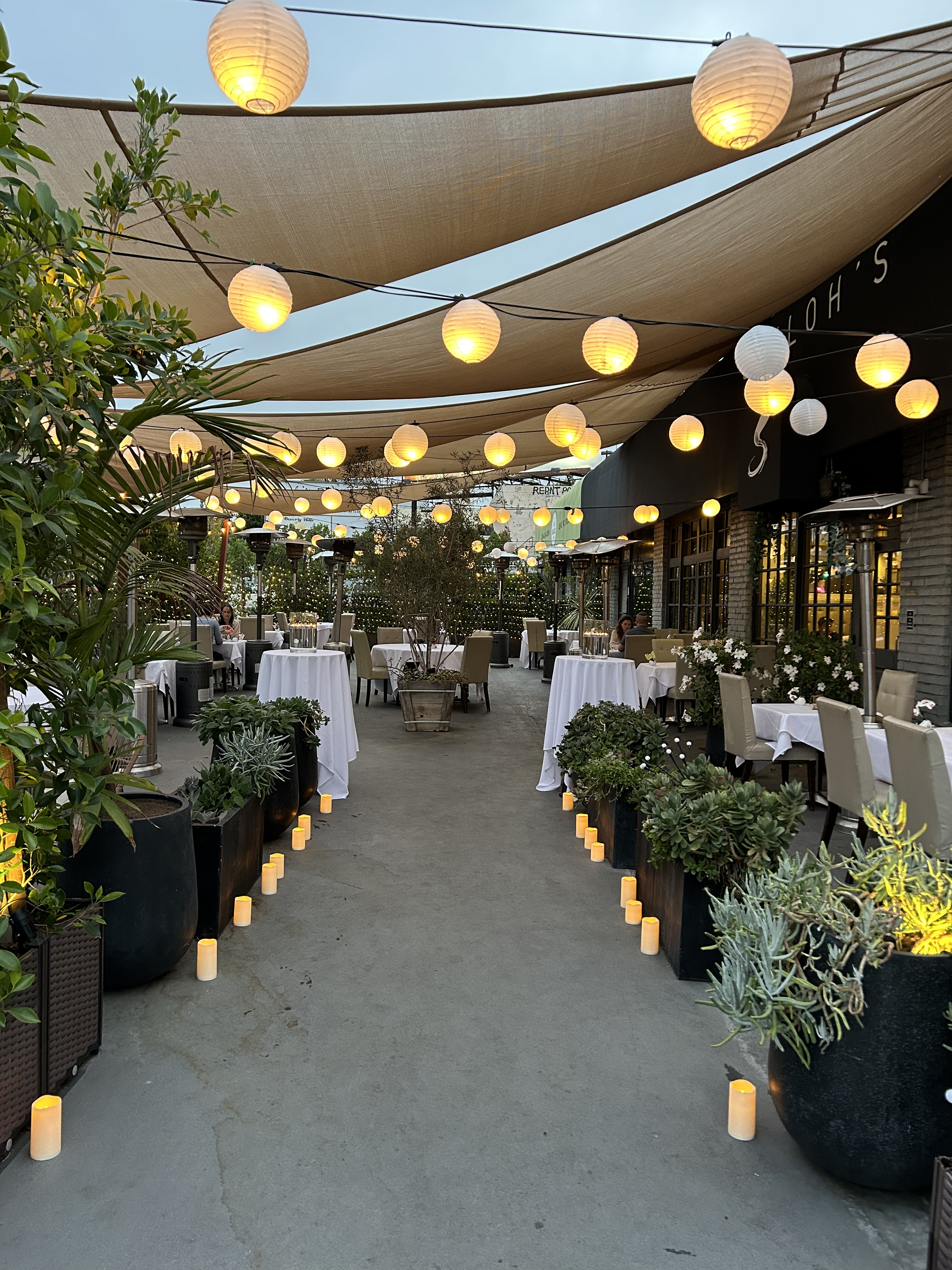 תמונה עבור Shiloh's Steakhouse