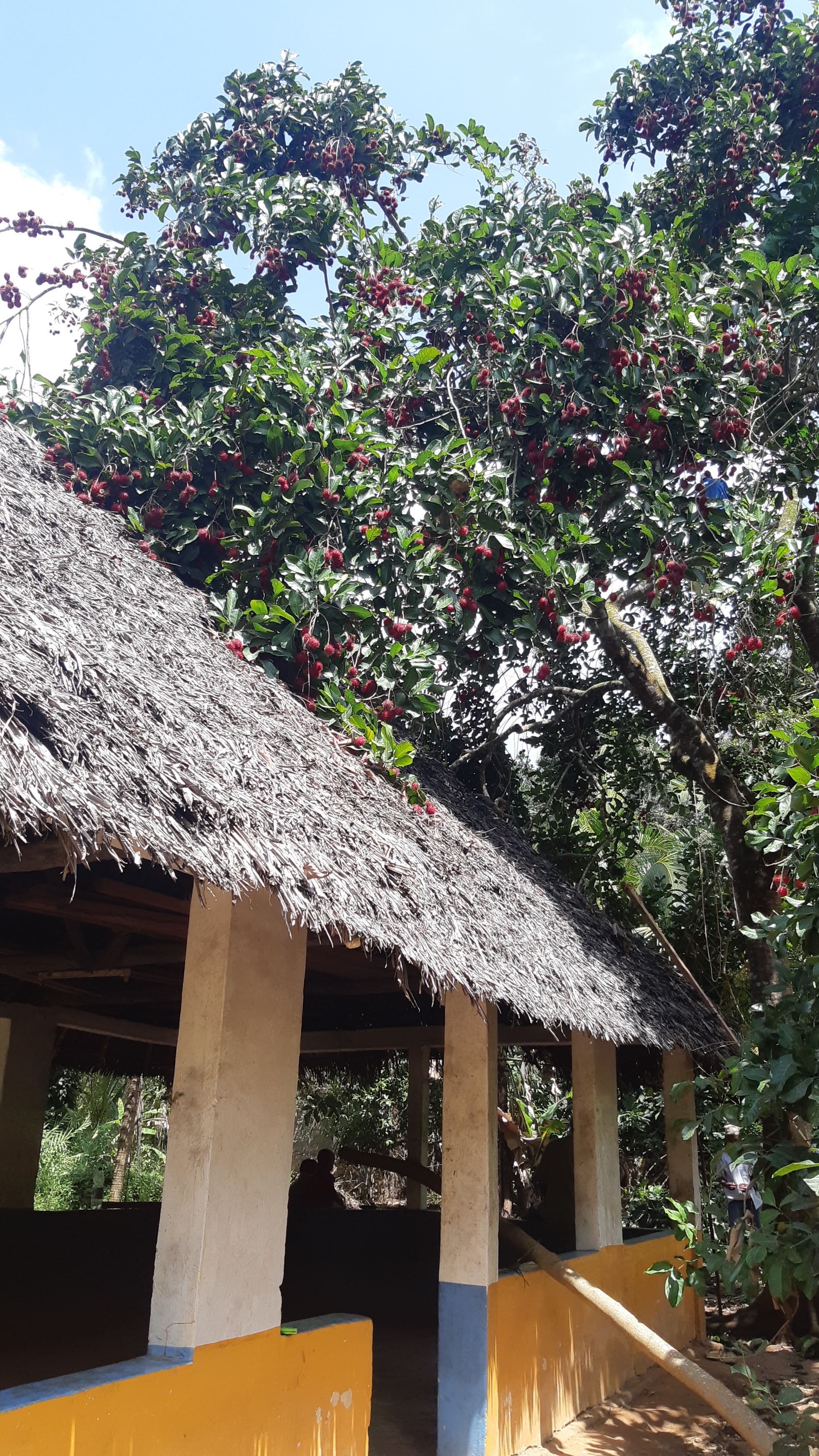 Kizimbani Spice Farm