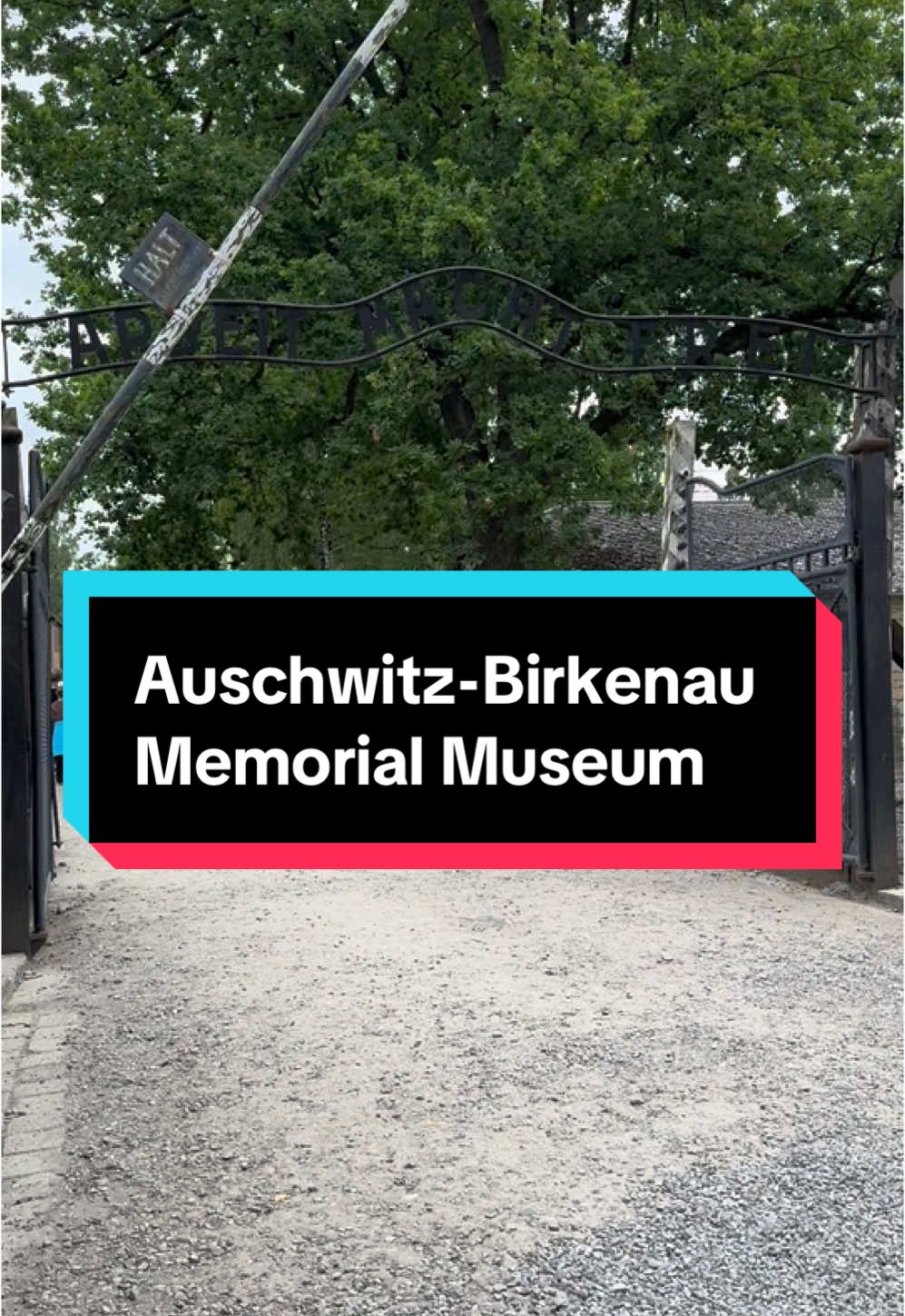 מרכז ההנצחה של אושוויץ-בירקנאו (Auschwitz-Birkenau Memorial) — ביקור יומי מחוץ לקרקוב
