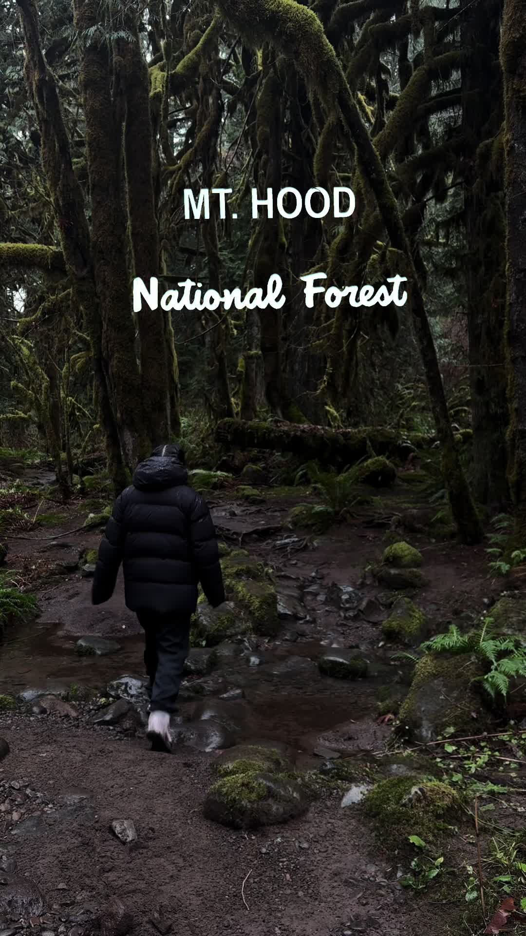 Mt. Hood National Forest