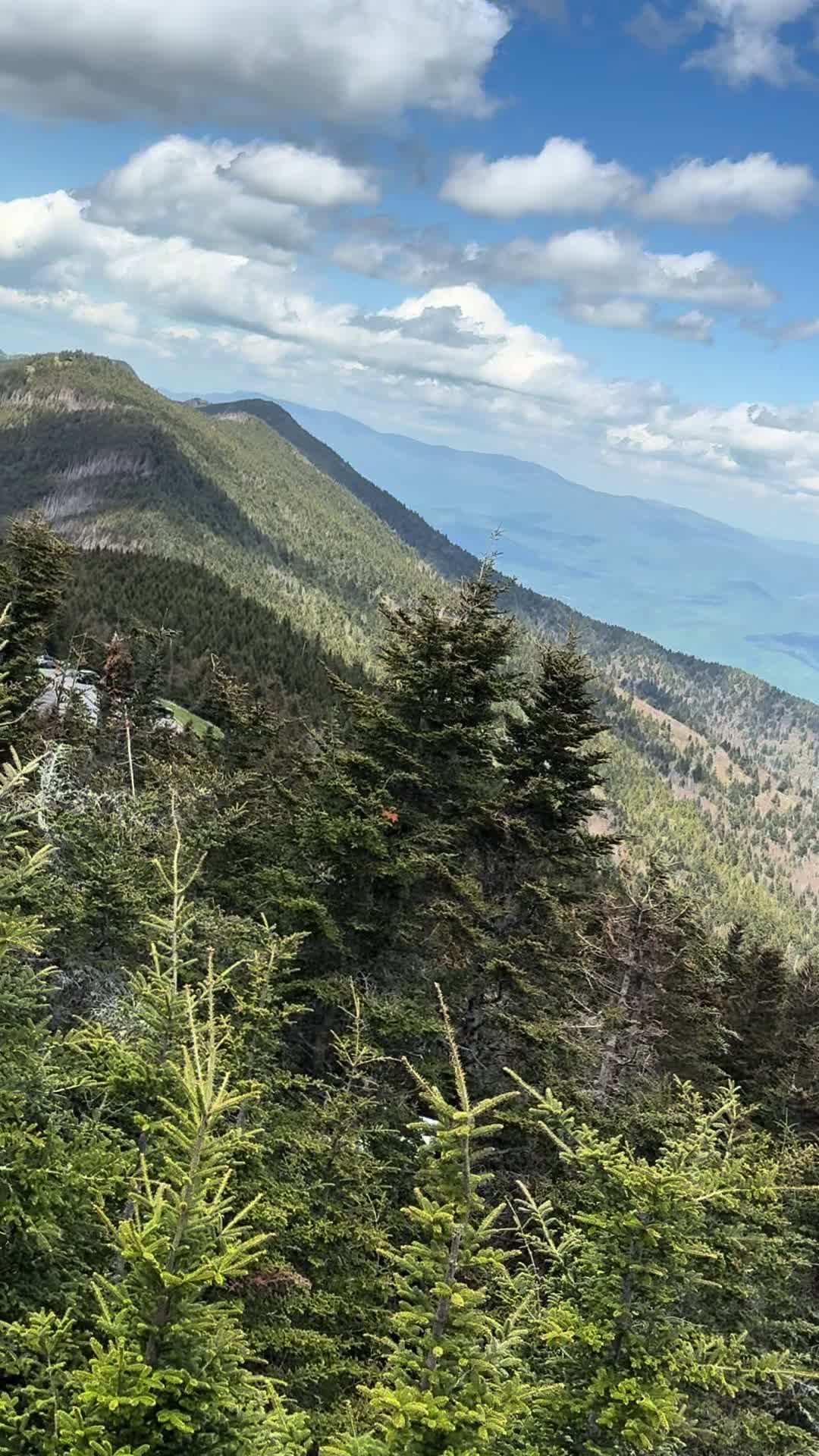 Mt. Mitchell State Park