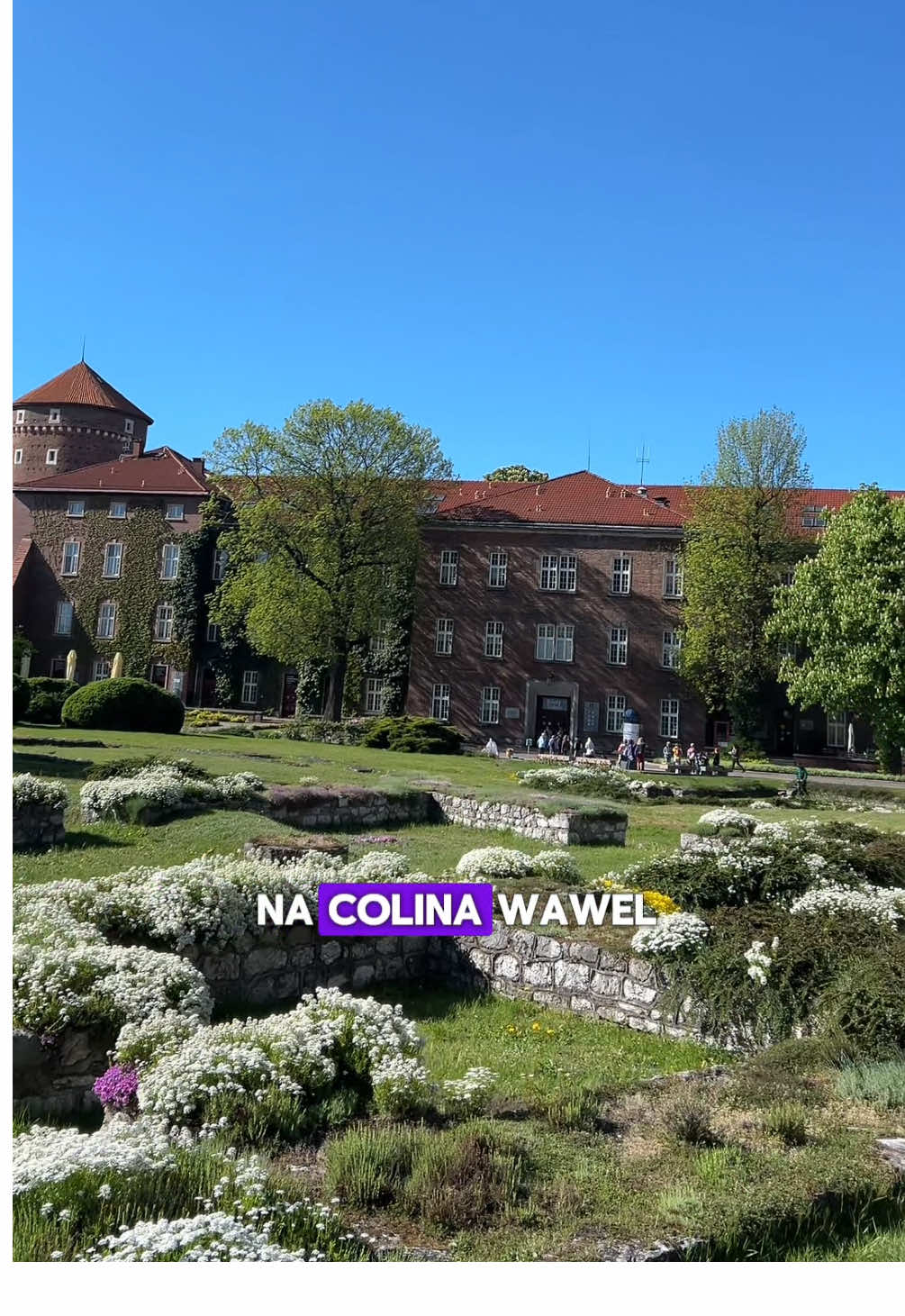 מצודת ואאבֶל (Wawel Castle) והקתדרלה