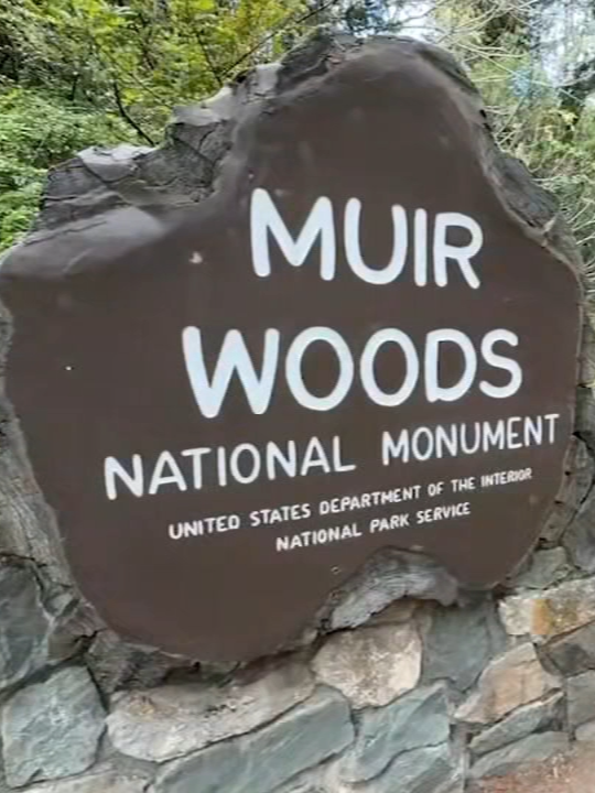 Muir Woods National Monument (Marin County)
