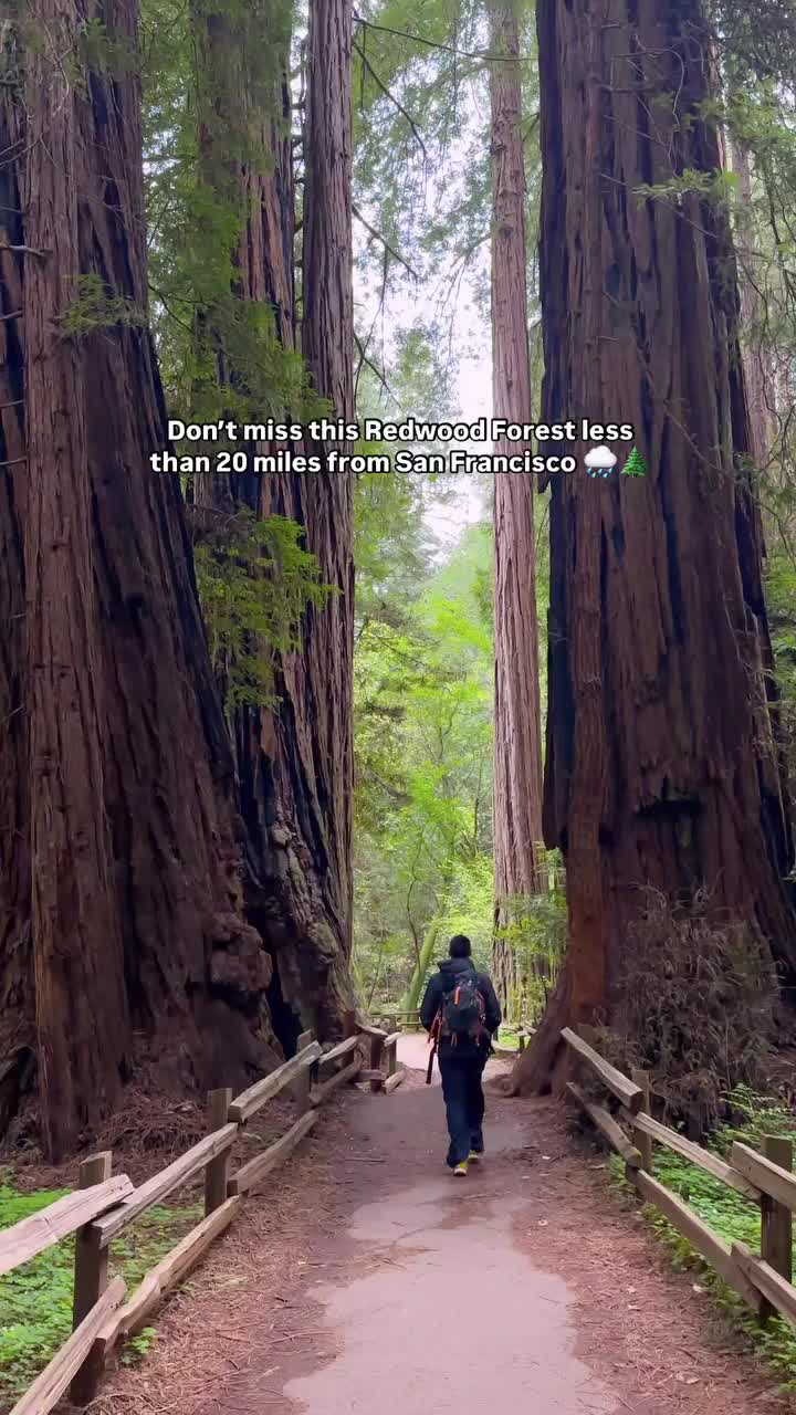 Muir Woods National Monument (Marin County)