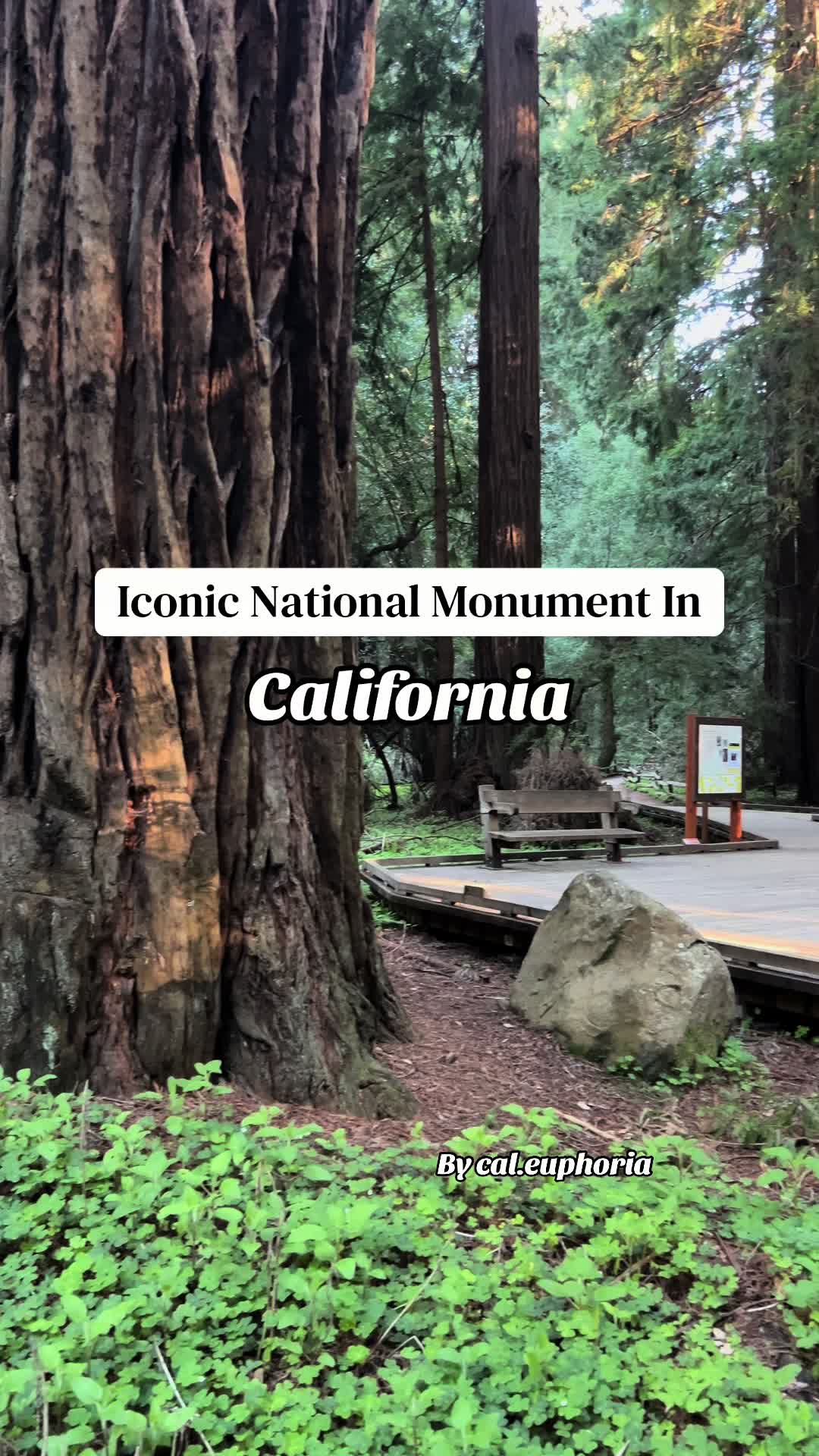 Muir Woods National Monument