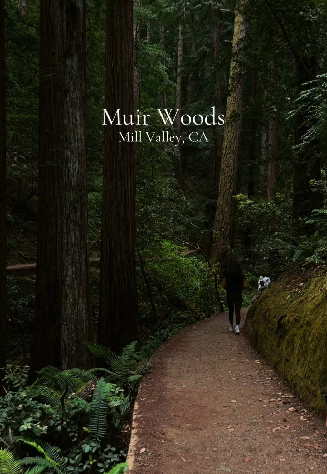 Muir Woods National Monument