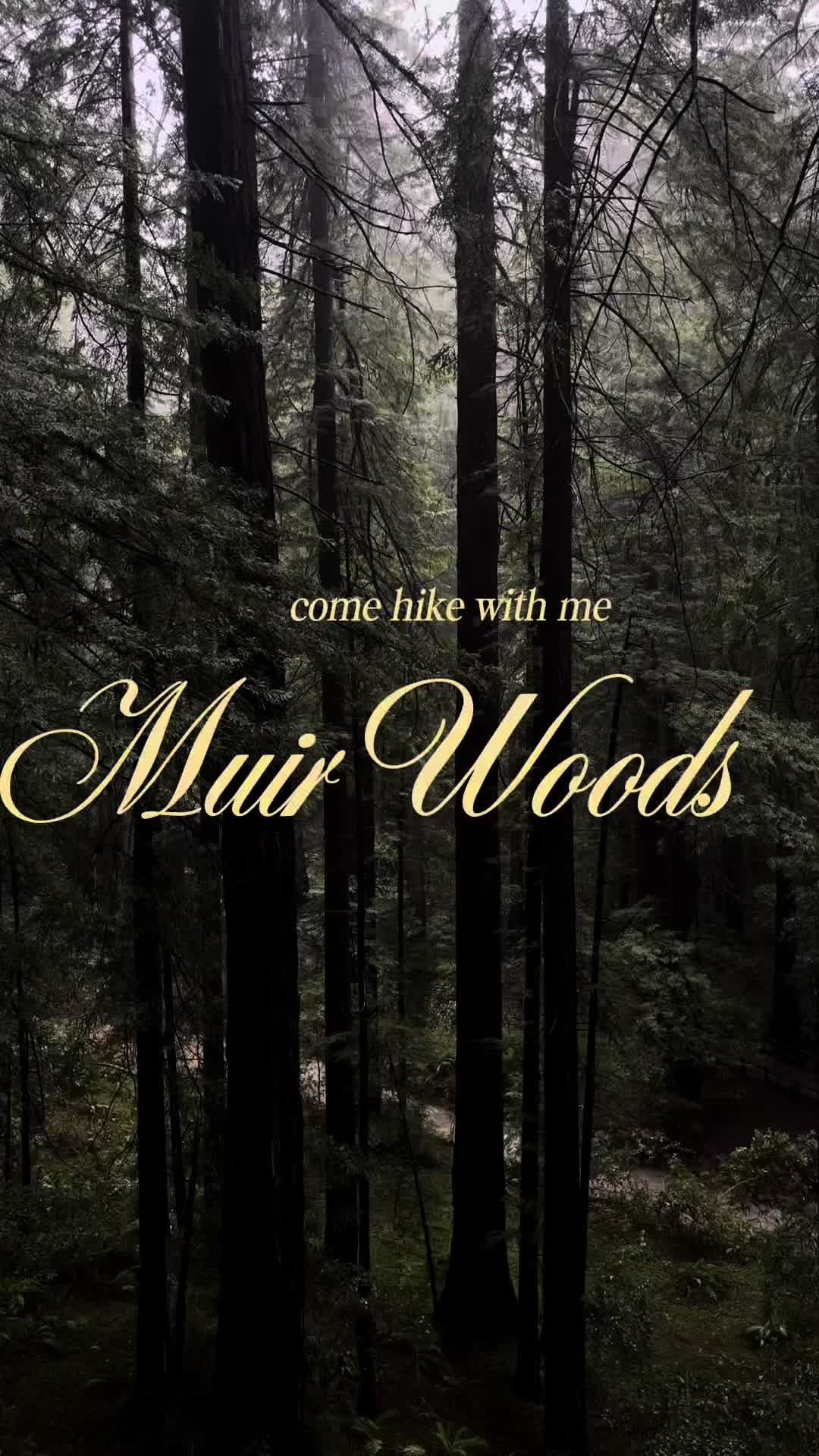 Muir Woods National Monument