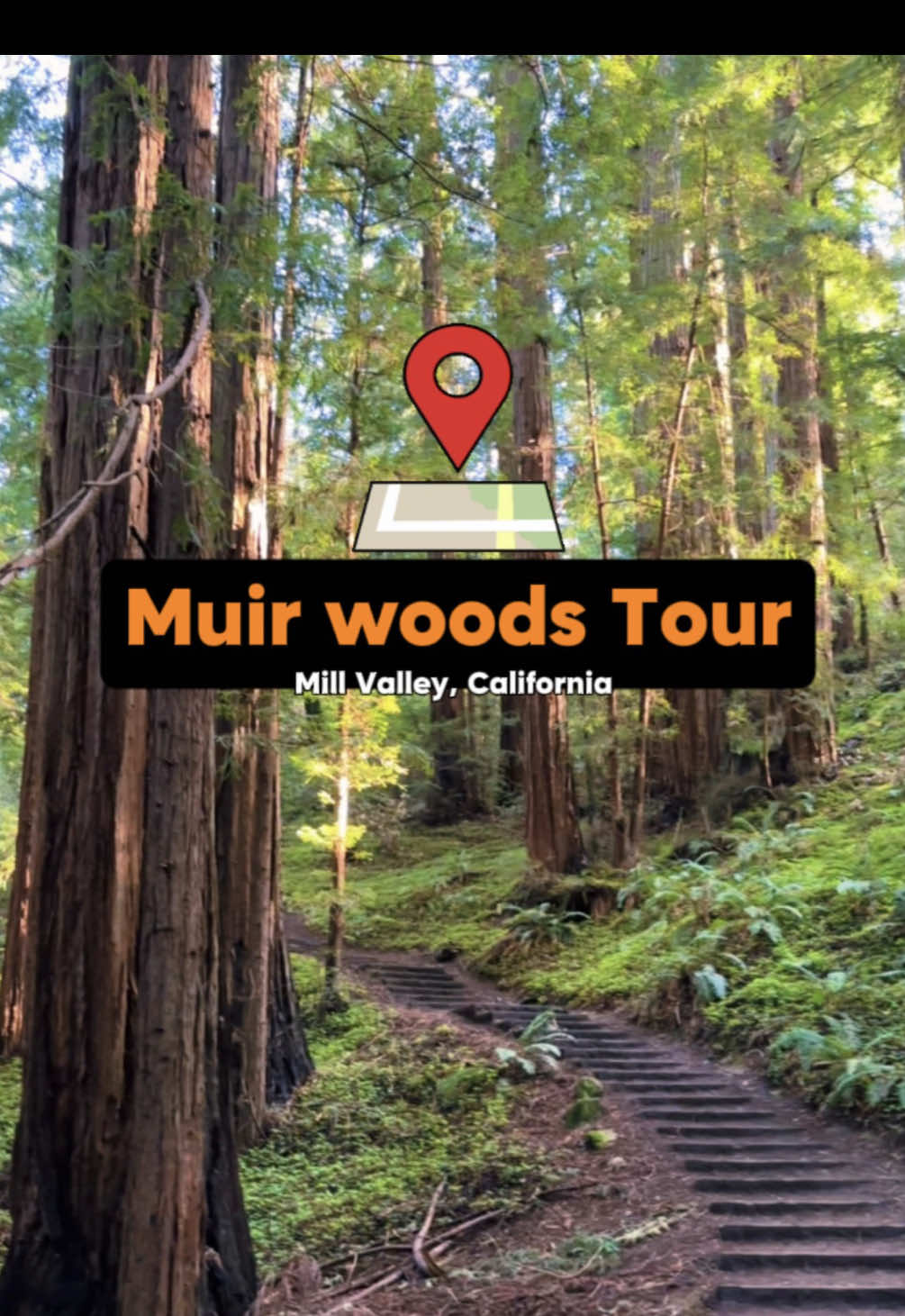 Muir Woods National Monument