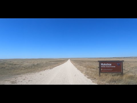 Muleshoe National Wildlife Refuge