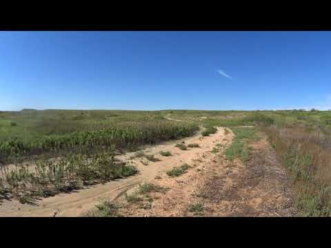 Muleshoe National Wildlife Refuge