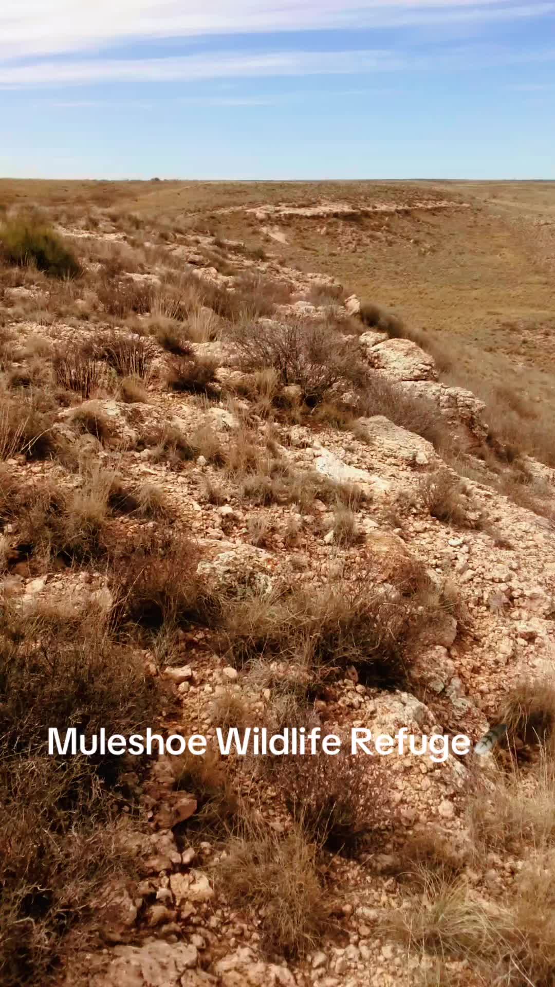 Muleshoe National Wildlife Refuge